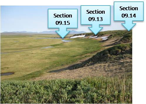 Tundra Profiles