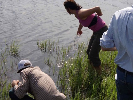 Travis Drake and Brandi Jo Petronio take water samples in the Lena River flood plane.