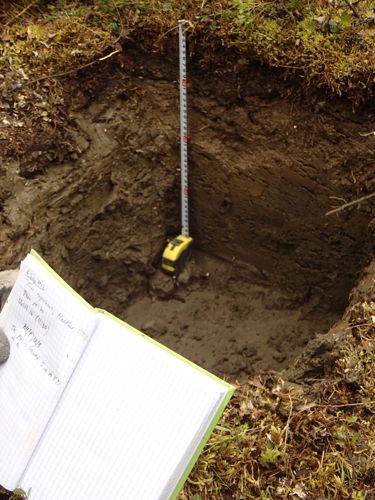 This is our first 45 cm-deep pit through the active layer of soil.