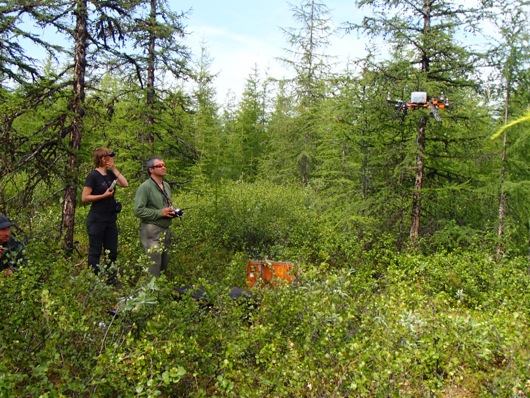 Eugene and Marina demonstrate the helicopter they use to observe nests on trees and cliffs.