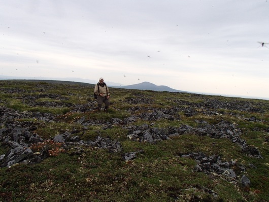 Mark savors reaching the summit of Rodinka, despite the mosquitoes!