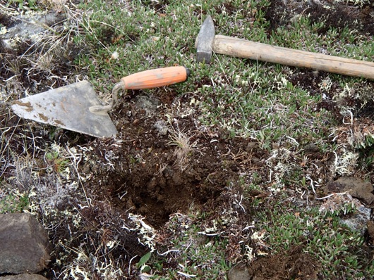 The trowel and hammer give scale to one of the soil sampling sites.