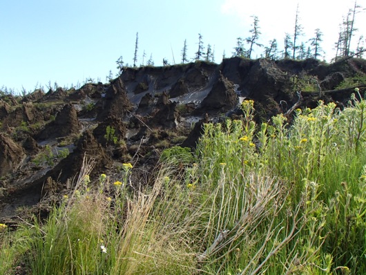 The thawing permafrost cliffs of Duvannyi Yar pose considerable risk to travelers.
