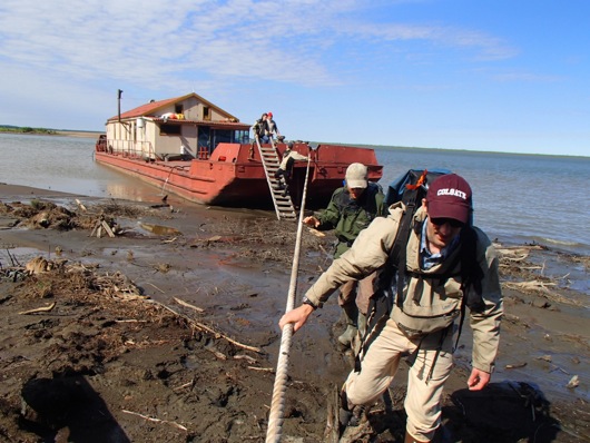 Mike Loranty and Logan Berner reach shore across a path of logs from the barge. 