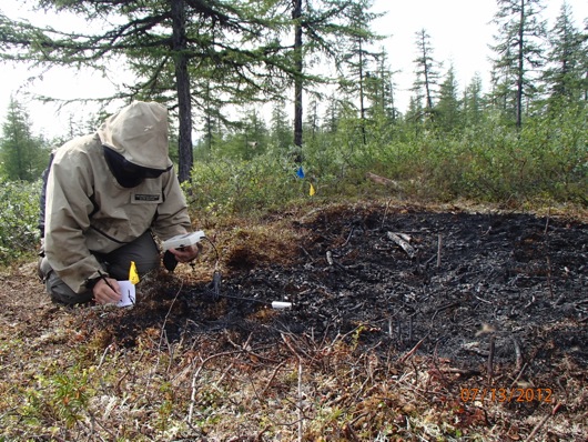 Mark takes readings of soil moisture and conductivity on a burn plot.