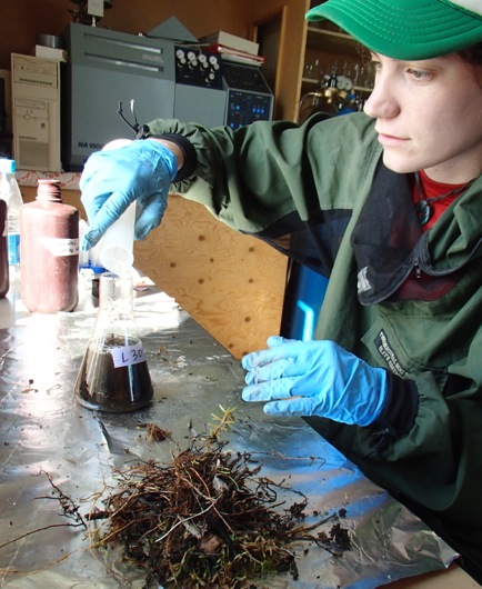Ludda begins the process of dissolving one of her many organic soil samples.