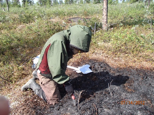 Ludda uses a soil saw to take a soil core from a burn plot.