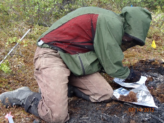 Ludda divides her soil core into organic and minerals samples.