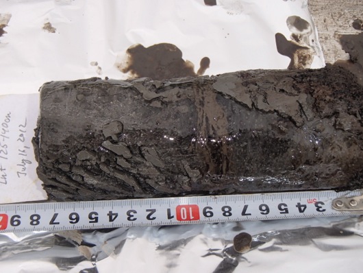 The pattern of silt and ice in one permafrost core.