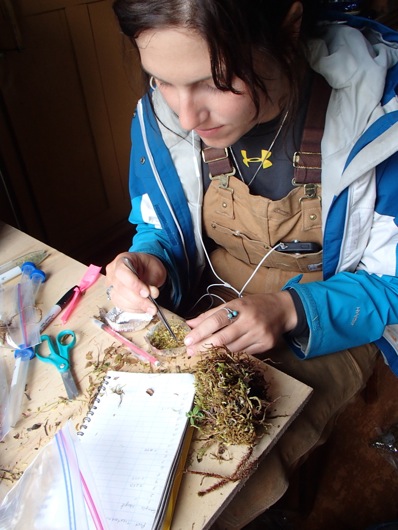 Brandi Jo prepares a moss sample