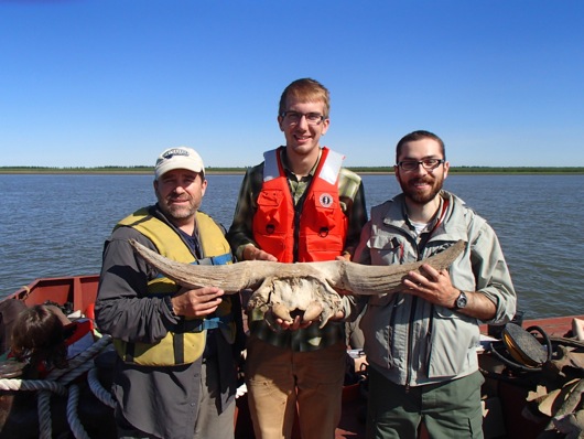 Three Eagle Scouts hold a Pleistocene bison skull 