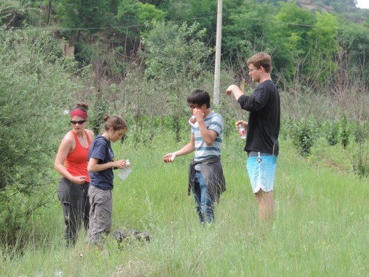 Teaching the economists some stream sampling techniques.