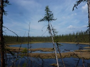 Windy Lake 