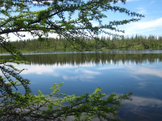 Shuch'ye Lake, an integral part of the Y4 watershed.