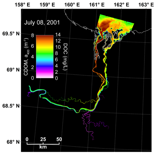 A map of dissolved organic carbon, as seen from satellites.  Notice how the western channel has much high concentrations than the eastern channel.