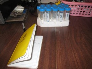 Resize blog 3 vials