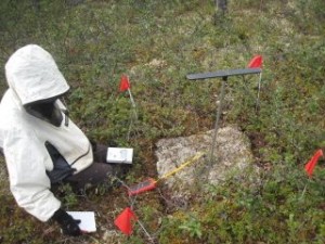 Me taking measurements at a lichen plug.