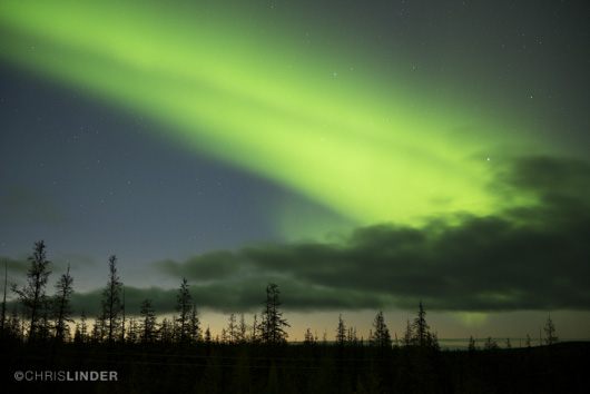 Aurora borealis over the taiga forest.