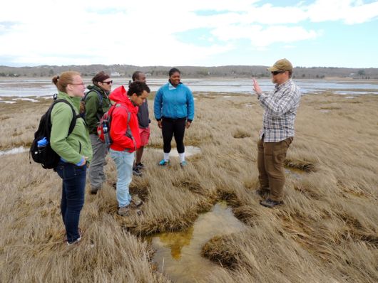 Asking questions on the marsh