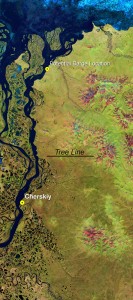 landsat8_treeline