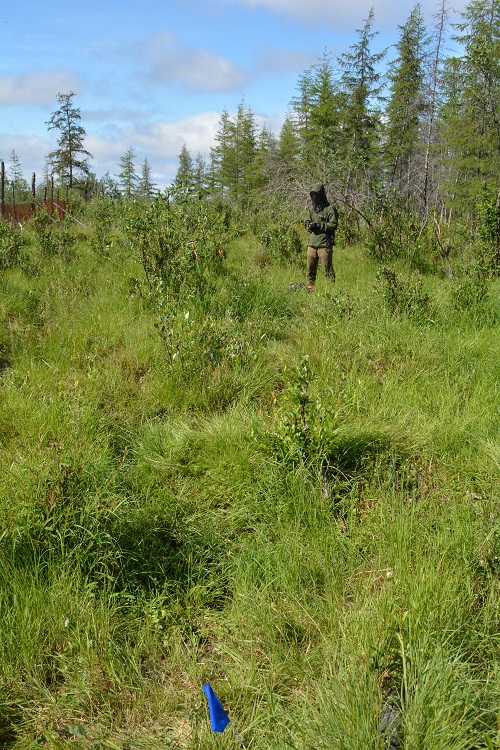 A typical scene from a steppe site.