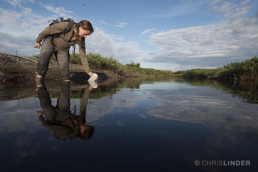 Megan Behnke samples a tundra stream.