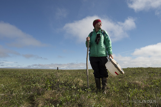 Kenzie Kuhn at the tundra site, 2014.