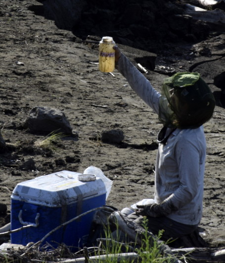 Megan Behnke with a bottle of filtered water from thawing permafrost.