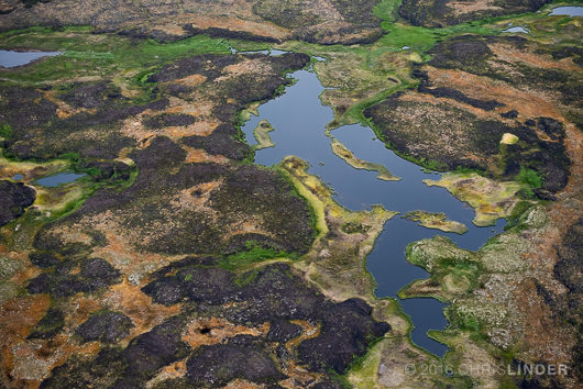 The tundra is transformed into a patchwork of colors by fire--black patches show where the lichens and moss have burned away. Yukon delta, Alaska.