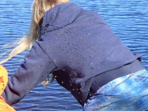 Dr. Karen Frey works on the sampling raft while ignoring a few mosquitoes.