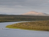 A speedboat cruises up the Panteleikha River.
