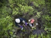 Two undergradute students fill cuvettes with water from a small Siberian stream.