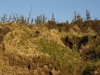 The exposed riverbank at Duvannyi Yar.