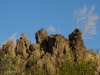 Plants sprout out of the carbon-rich soil at Duvannyi Yar.