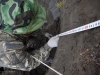 A Russian researcher takes a soil profile from an ice wedge at the exposed riverbank of Duvannyi Yar, Kolyma River, Siberian Arctic.