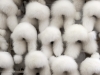 Fur hats at the market.