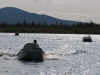 A trip to the treeless tundra is a highlight of the Polaris summer field season.