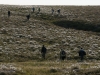 No trees to block the view on the tundra.