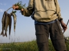 The day's catch.