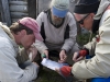 Nikita, Sergei, and Max plan the route home.